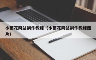 常德小菊花网站制作教程（小菊花网站制作教程图片）