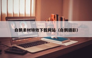 常德白鹅素材特效下载网站（白鹅摄影）